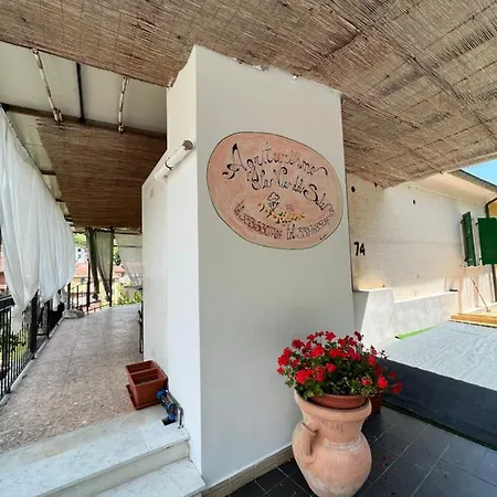 Farm stay La Via Del Sale2